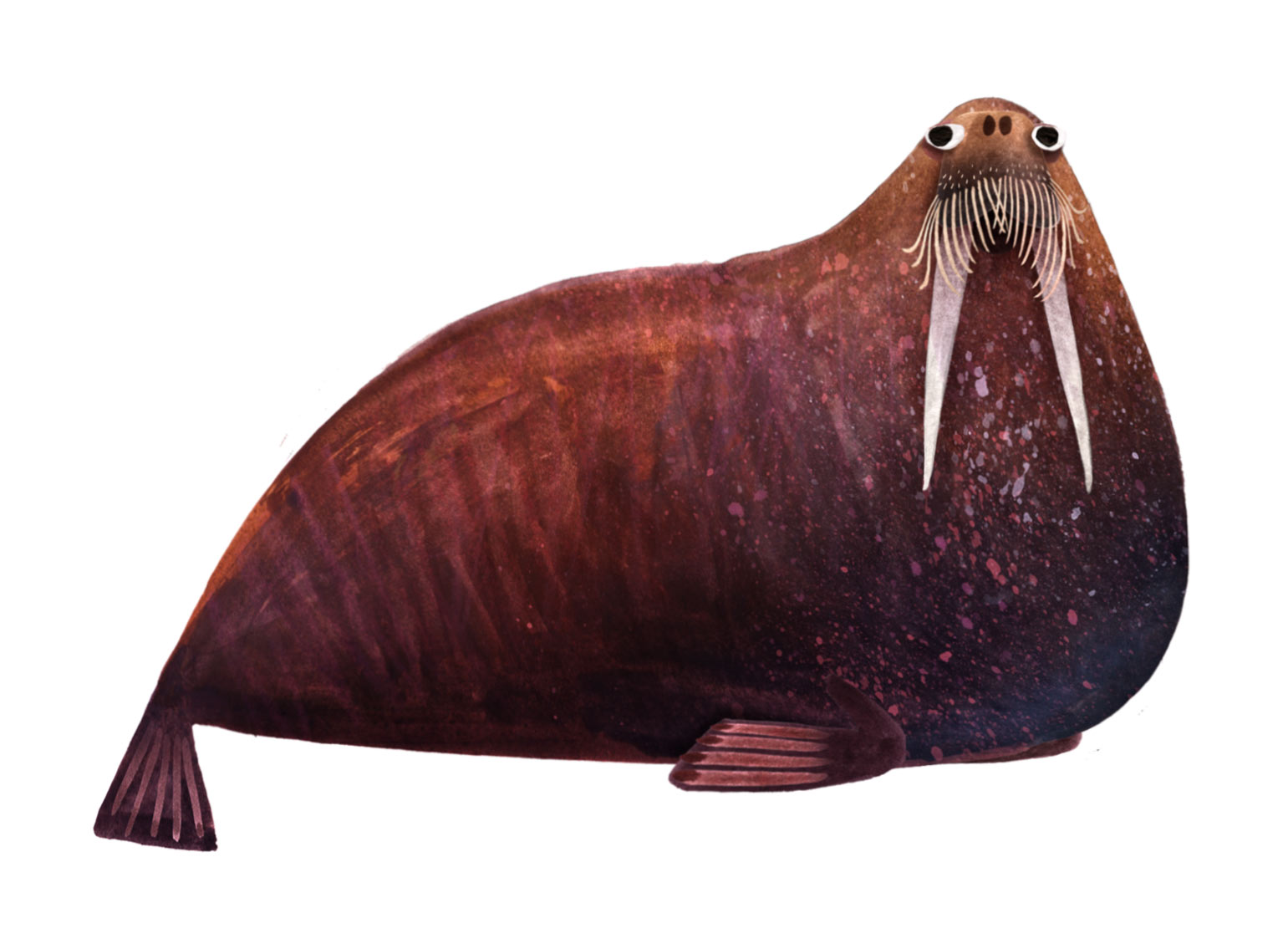 Animalia - Brendan Wenzel