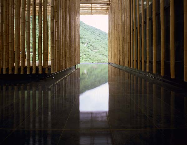 great-bamboo-wall-house-L-1.jpeg