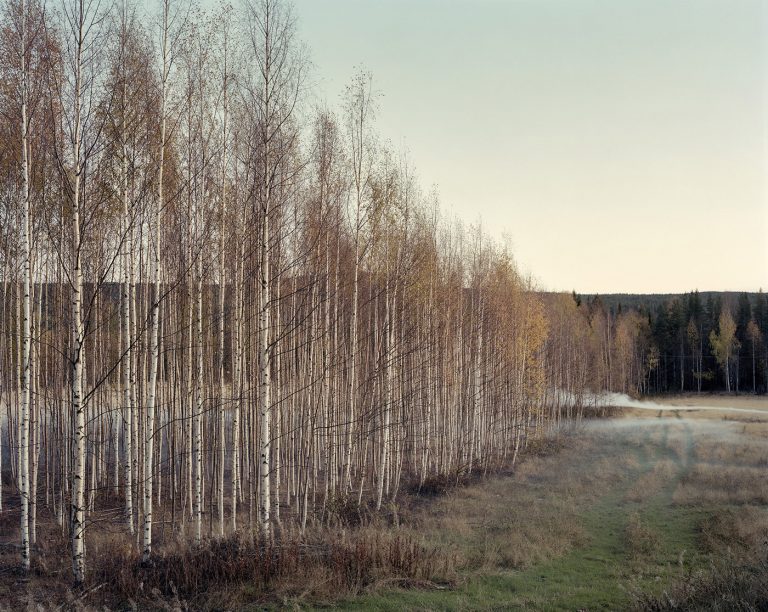 Landscape 1 / Felix Odell
