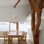 Garden Tree House / Hironaka Ogawa & Associates