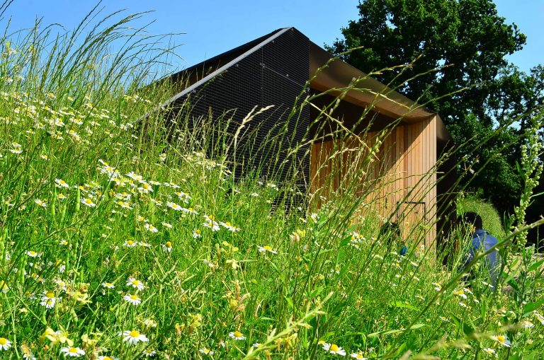 Hidden Locker Rooms / MU Architecture + Ateliers Les Particules