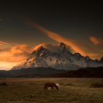 Patagonia Dreaming I / Andy Lee