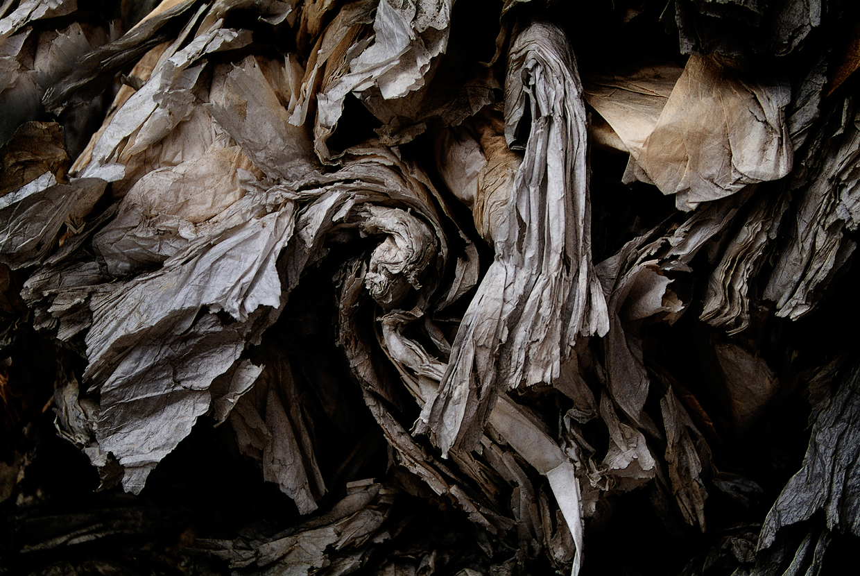 Recycled Paper / Gonzalo Sanguinetti (6)