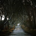 Roads Less Traveled / Andy Lee