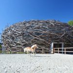 Stork Nest Farm / SGL Projekt