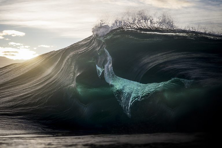 Seascapes / Ray Collins