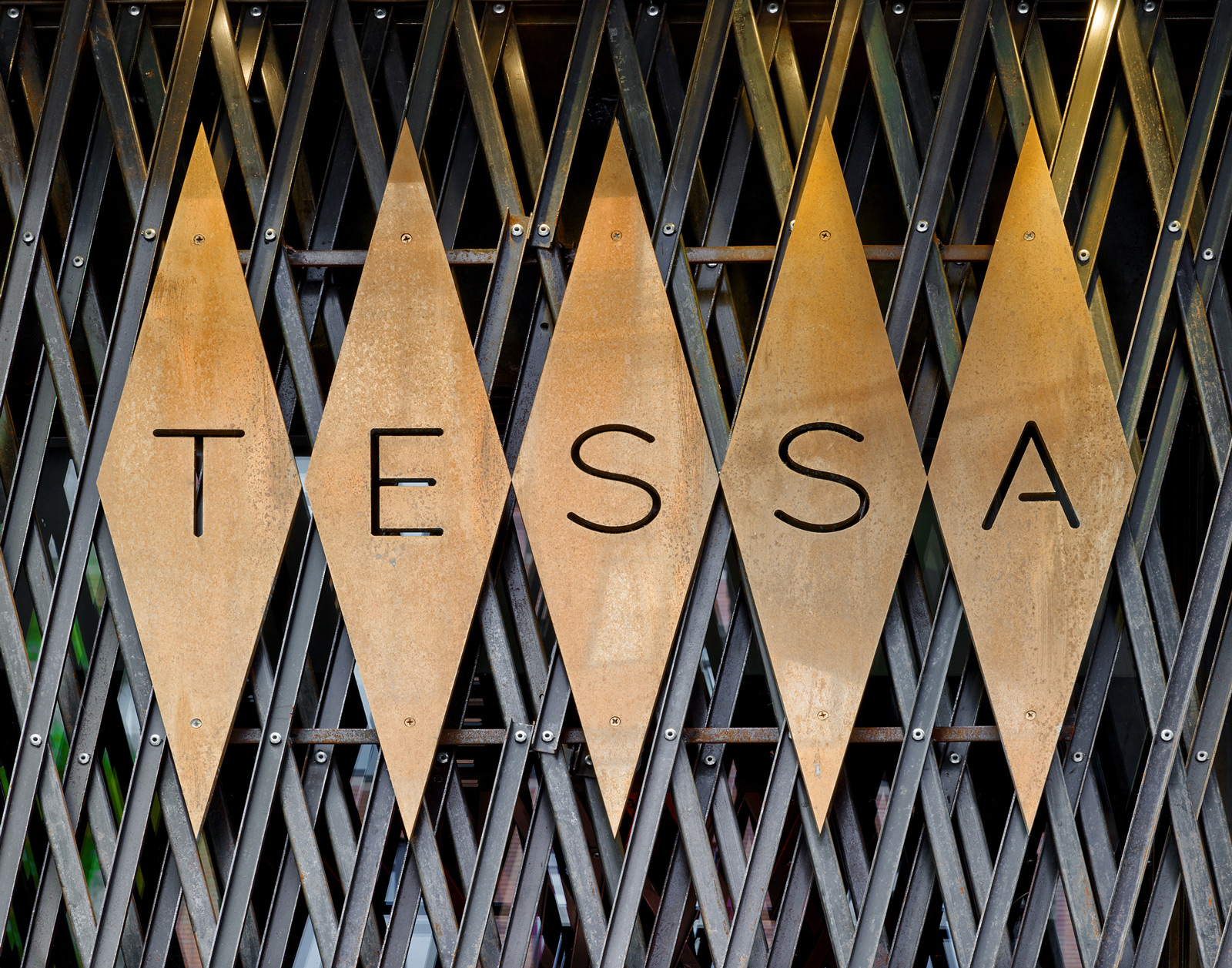 Tessa / Bates Masi Architects (1)