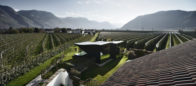 The Mirror Houses / Peter Pichler Architecture