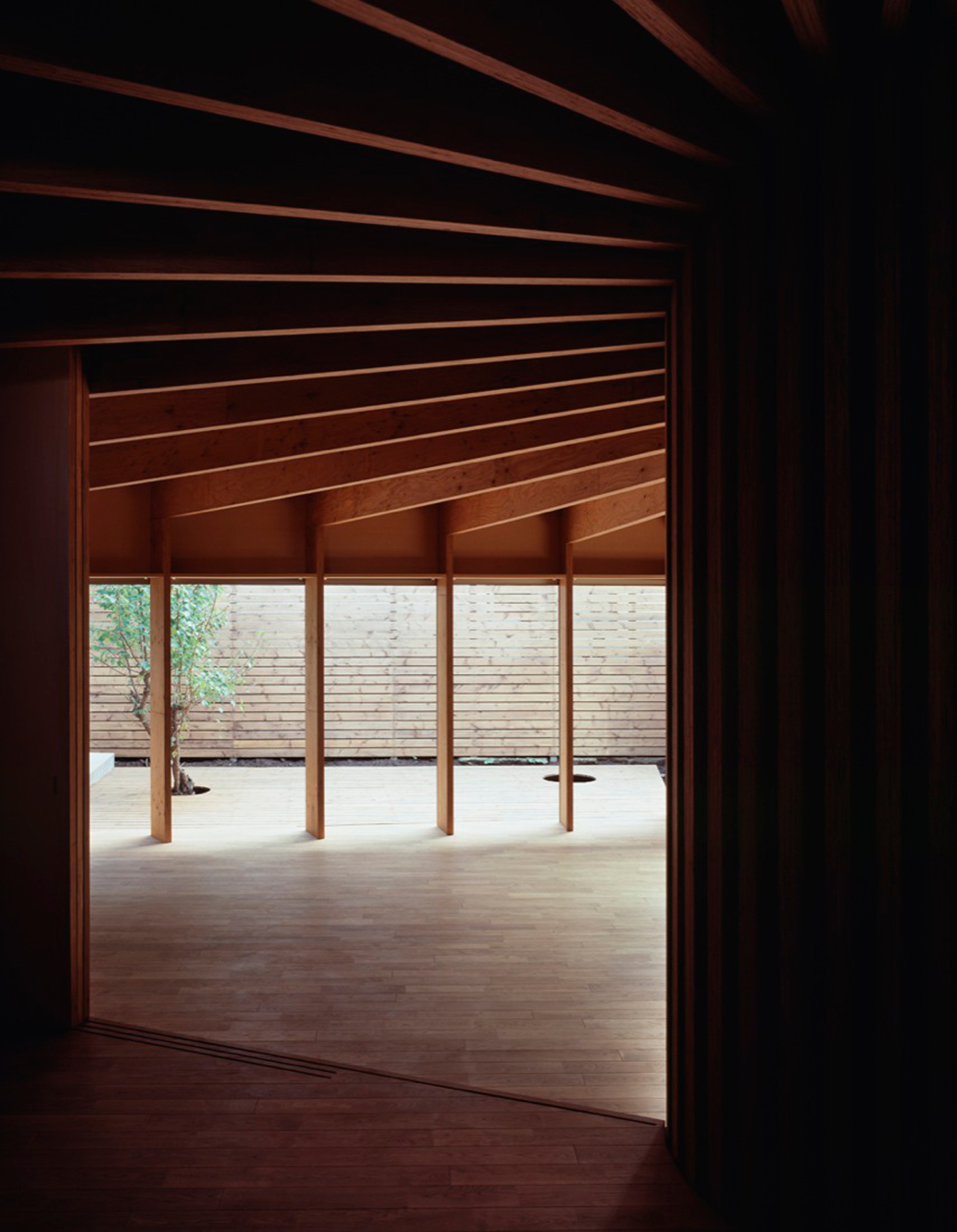 Tree House / Mount Fuji Architects Studio (18)