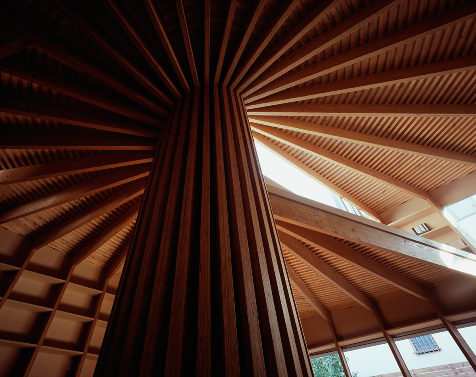Tree House / Mount Fuji Architects Studio (24)