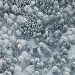 Winter Aerials / Bernhard Lang