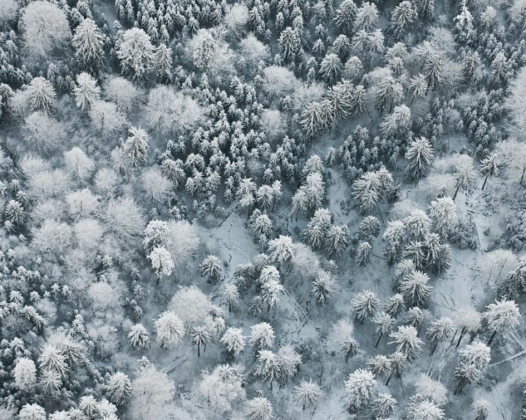 Winter Aerials / Bernhard Lang