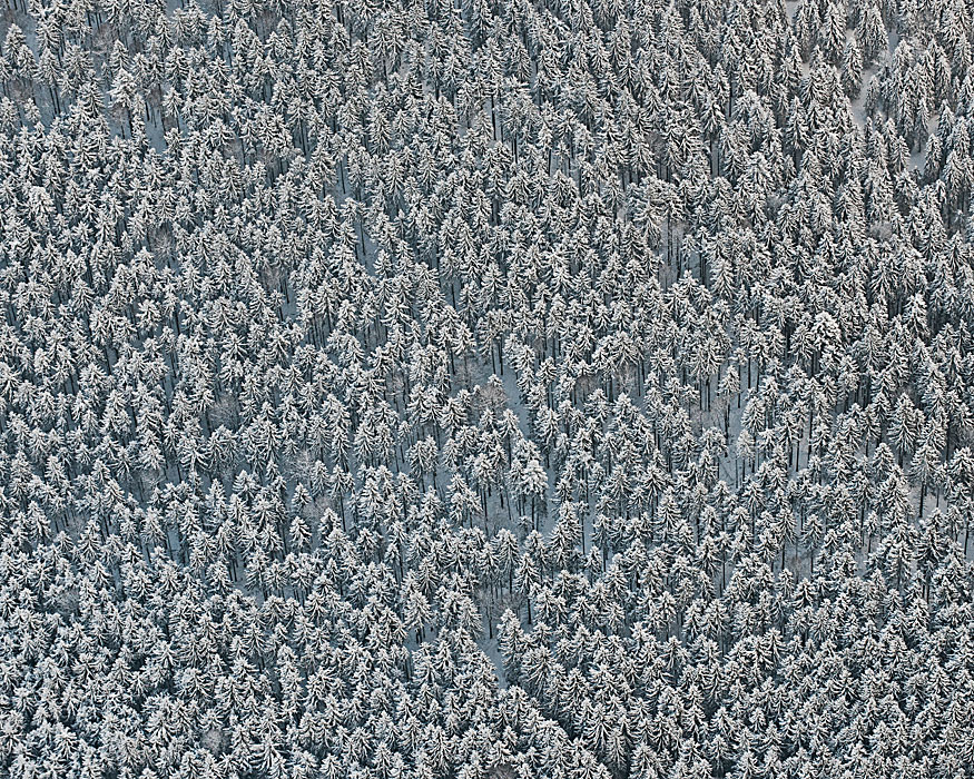 Winter Aerials / Bernhard Lang (10)