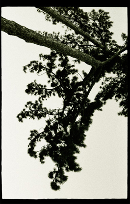 photographie