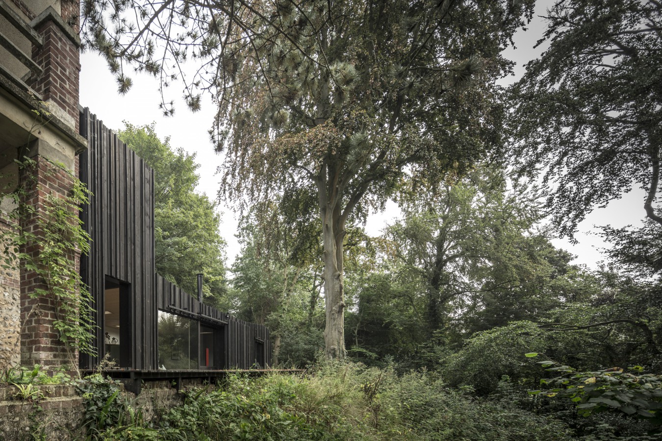 Black House / Marmi Architectes