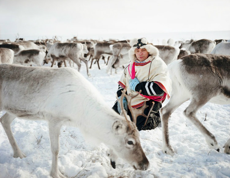 photographie erika larsen sami walking with reindeer