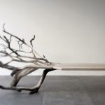 Fallen Tree / Benjamin Graindorge