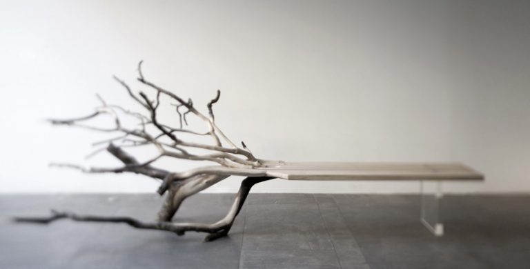 Fallen Tree / Benjamin Graindorge