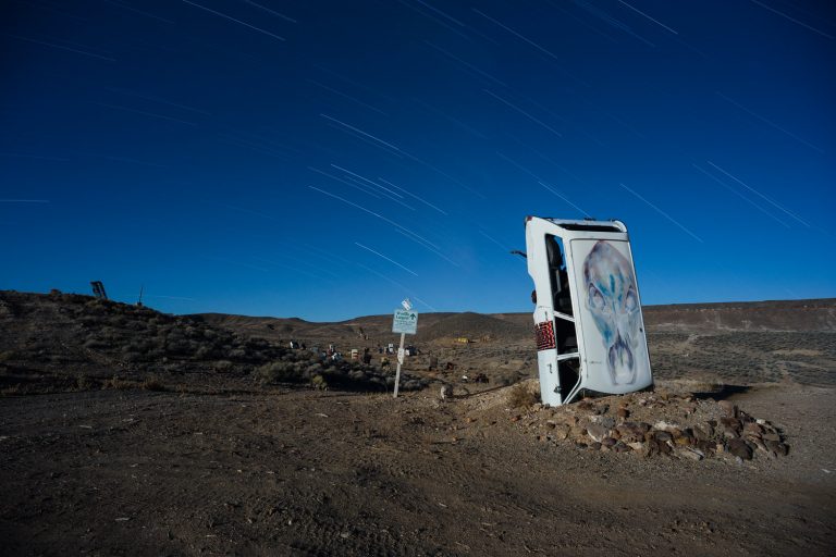 Car Forest / Joe Reifer