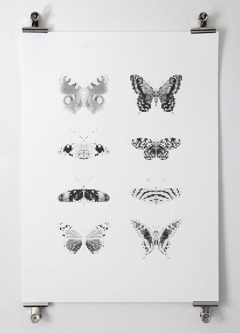 Matth Booth / Butterflies
