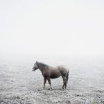 Notes For An Epilogue / Tamas Dezso