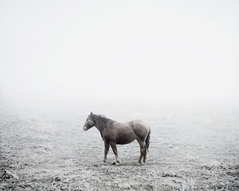 Notes For An Epilogue / Tamas Dezso