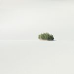 Landscape / Kate Rentz