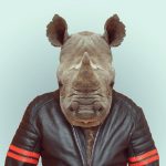 Zoo Portraits / Yago Partal